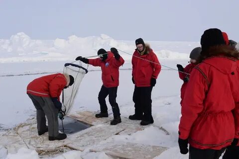 Труд людей в арктике