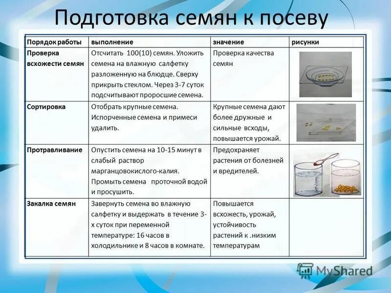 Как закалять семена