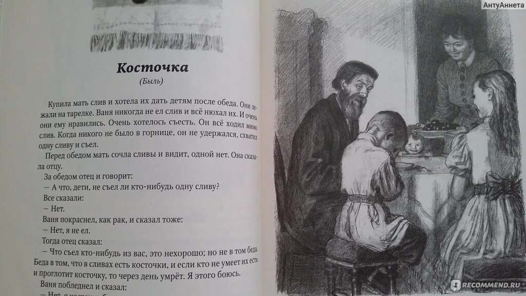 Лев толстой рассказ косточка. Толстой косточка книга. Косточка толстой пришла мать.