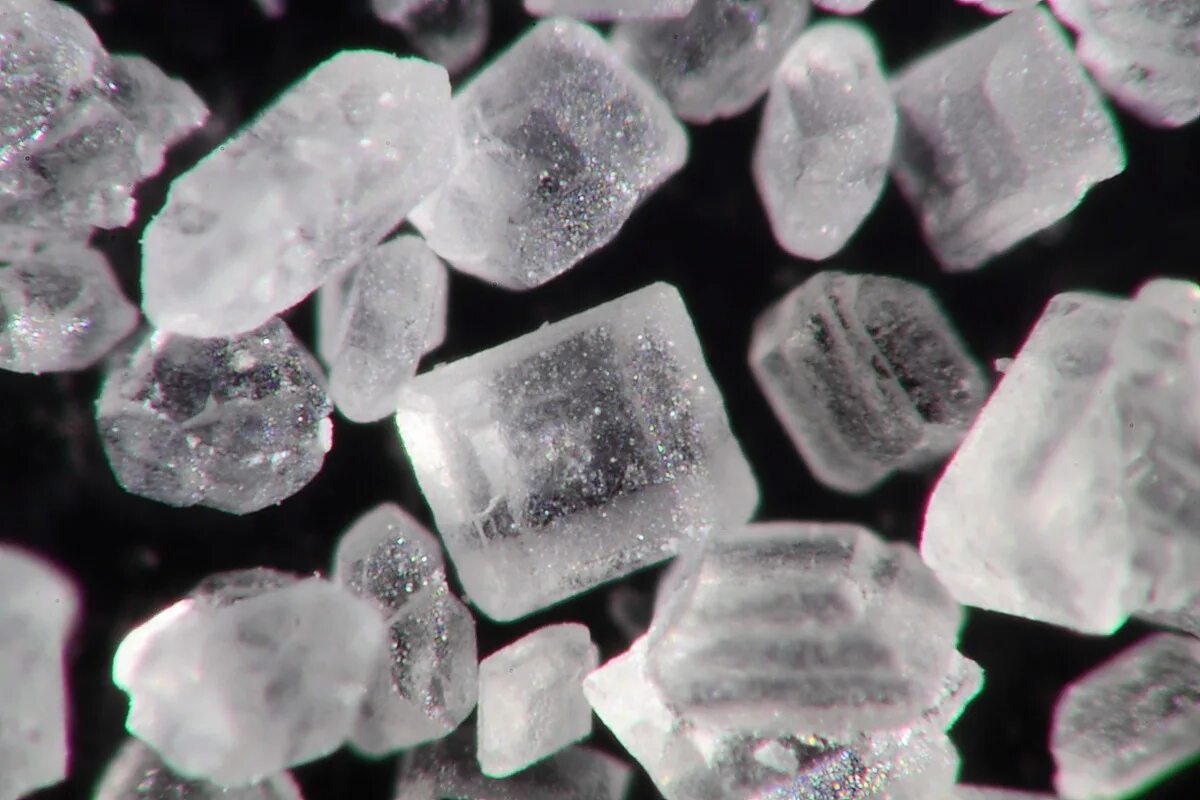Кристаллы сахара под микроскопом. Кристаллы лимонной кислоты под микроскопом. Крупинка сахара под микроскопом. Кристаллы поваренной соли под микроскопом.