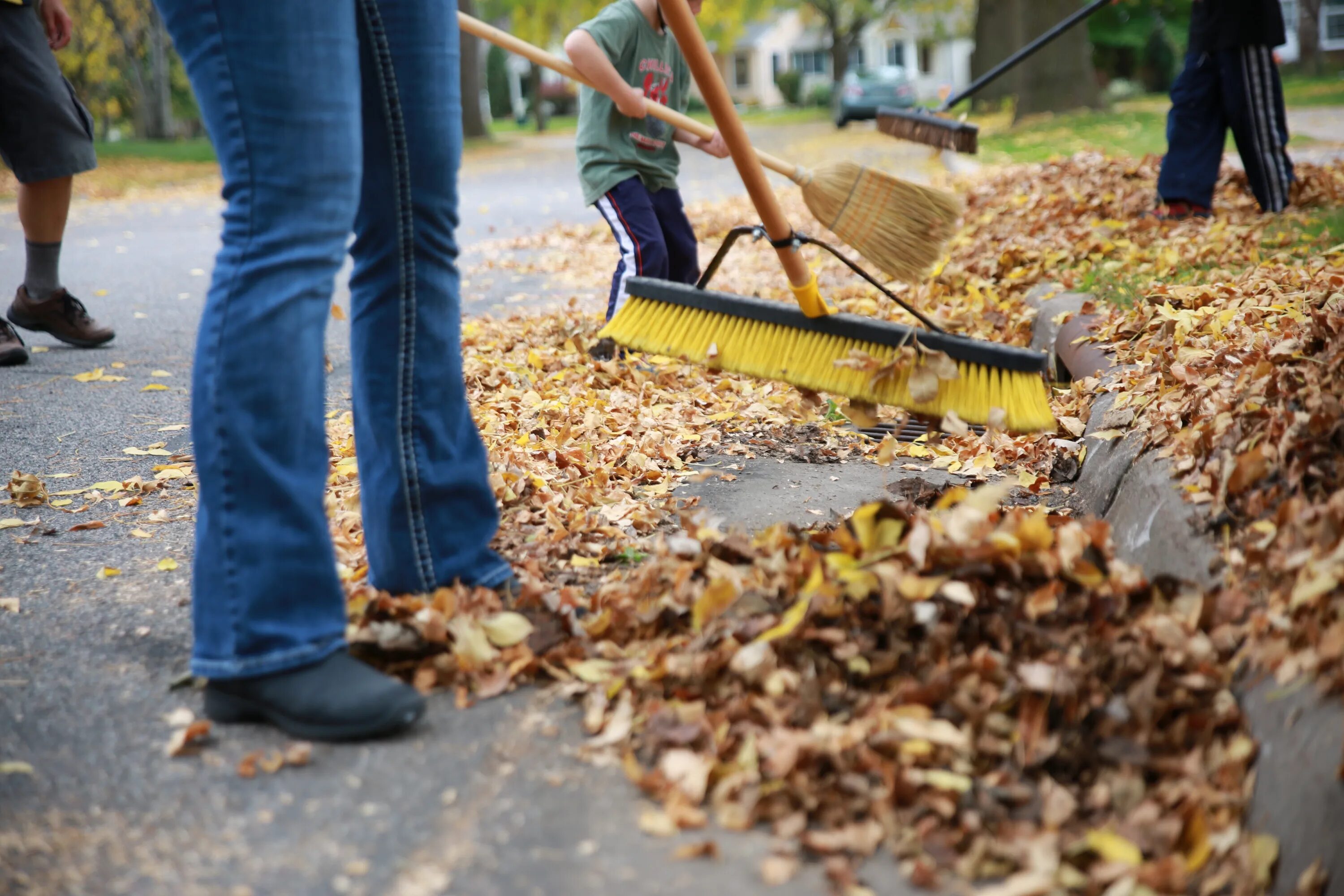 Pick up leaves. Rake leaves. Уборка в Германии. - Rake Fallen leaves.