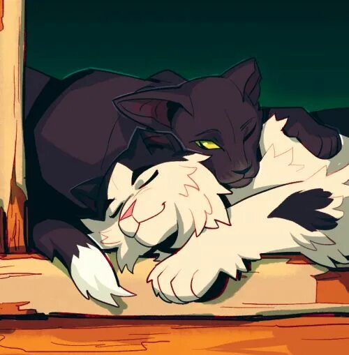 Ravenpaw коты воители. Фанфики горелый. Коты воители горелый. Фанфики горелый. Огнезвёзд крутобок и горелый.