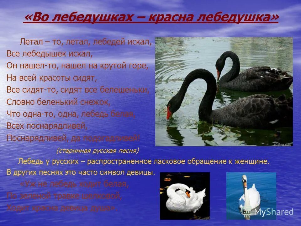 Лебедушка средства выразительности. Художественные средства песни. Эпитеты в стихотворении лебедушка есенина. Лебедушка средства выразительности. Части стихотворения.