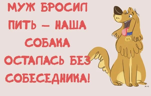 Картинка бросил пить. Бросил пить юмор. Бросил пить прикол. Шутки про бросание пить. Смешно бросить бухать.