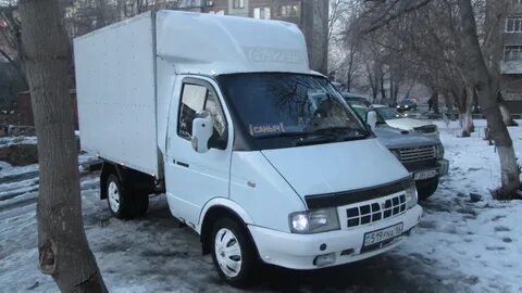 Газель образец