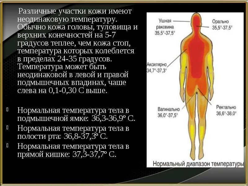 Жар без температуры причины у мужчин. Температура тела. Температура человека. Диапазон температуры тела человека. Температура тела это разница.