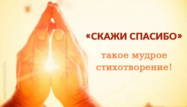 Говорите все спасибо давай давай. Научитесь говорить спасибо. говорим спасибо. благодарность человеку. человек не умеющий говорить спасибо.