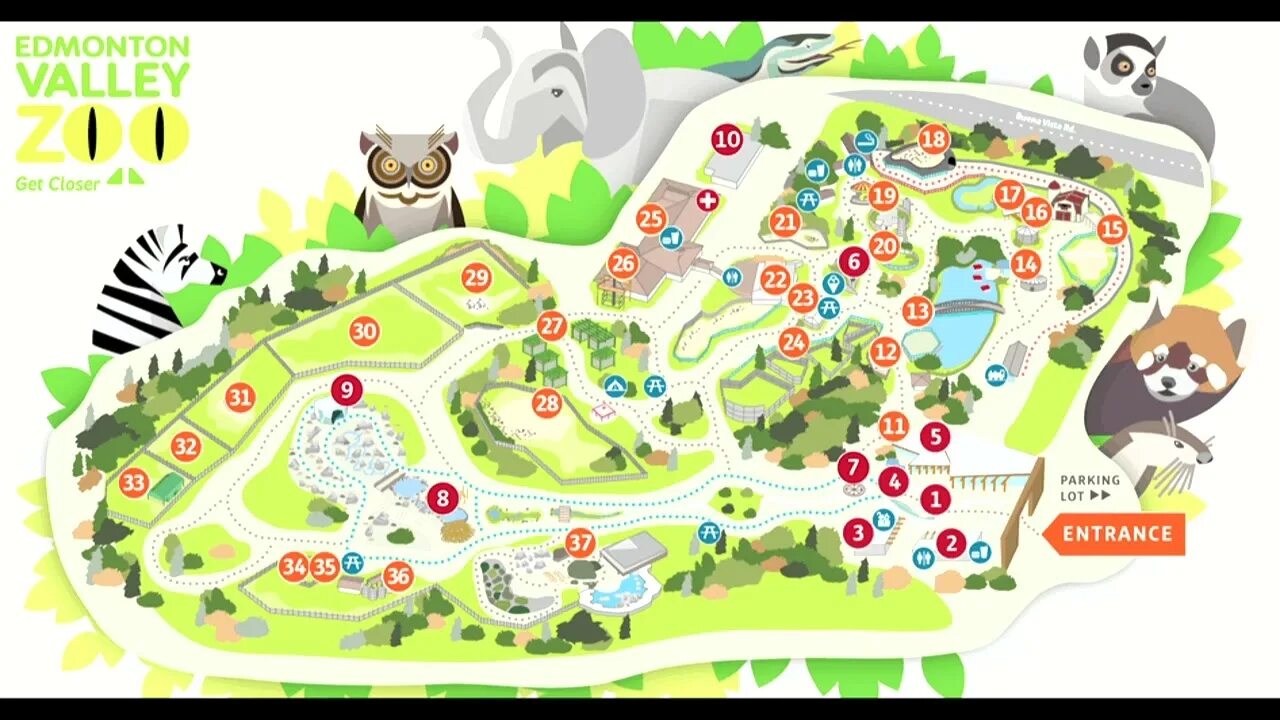 Транспорт какой до зоопарка. Карта зоопарка. Схема зоопарка. План зоопарка. Зоопарк план парка.