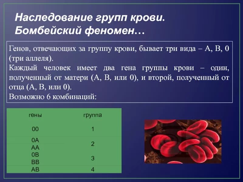 Ген отвечающий за группу крови