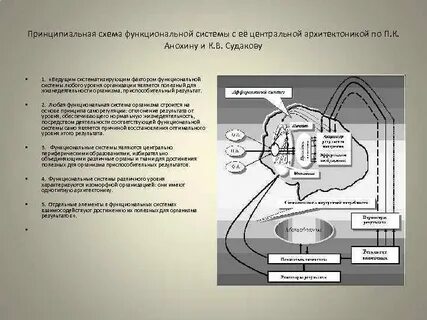 2 функциональные системы