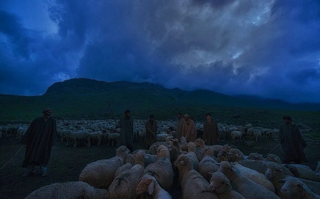 Пастух на звездном небе. Пастухи у костра. Пастух ночью. Пастух в поле. Пастухи на поле ночью.