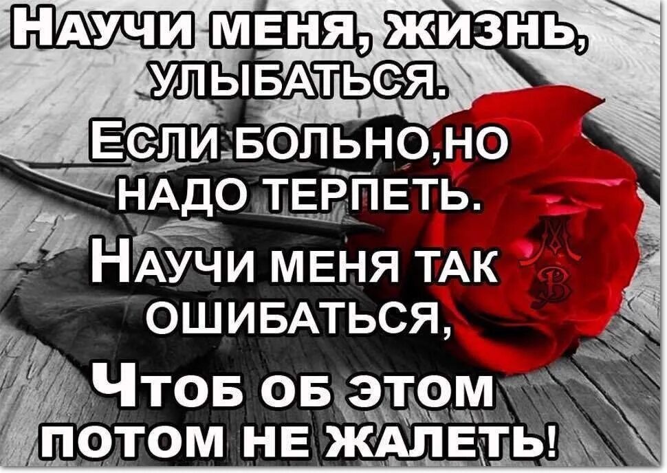 Научилась жить сама. Научи меня жизнь улыбаться если больно но надо терпеть научи. Надо жить цитаты. Жизнь научила цитаты. Жизнь научила просто жить.