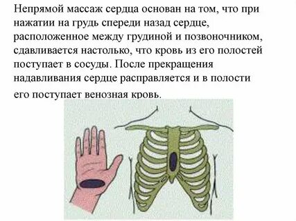 Смещаемость грудины