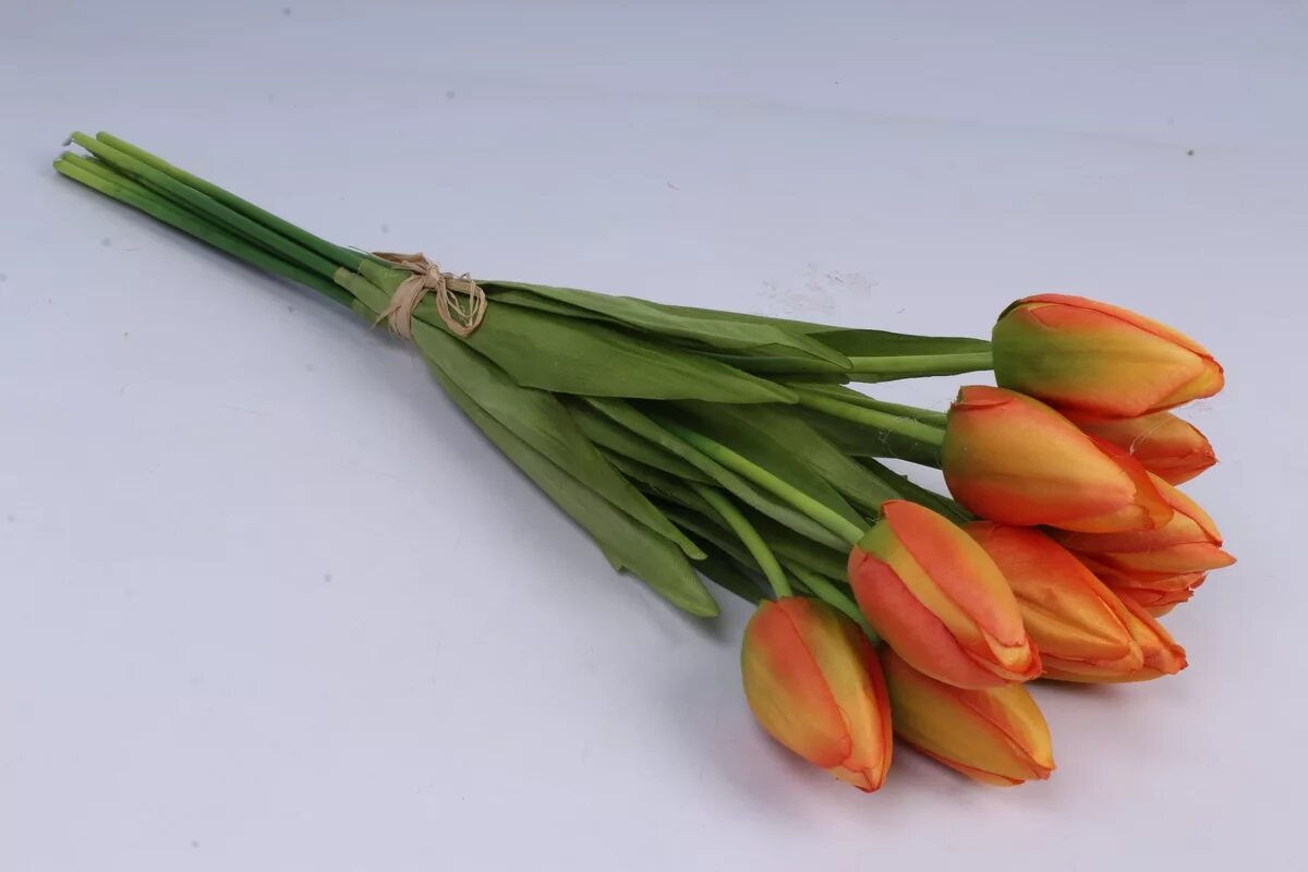 Денмарк тюльпан букет. Тюльпан Orange Bouquet (1шт.). Тюльпан Романо букет. Букет тюльпанов 3 шт. Тюльпаны перевязанные лентой