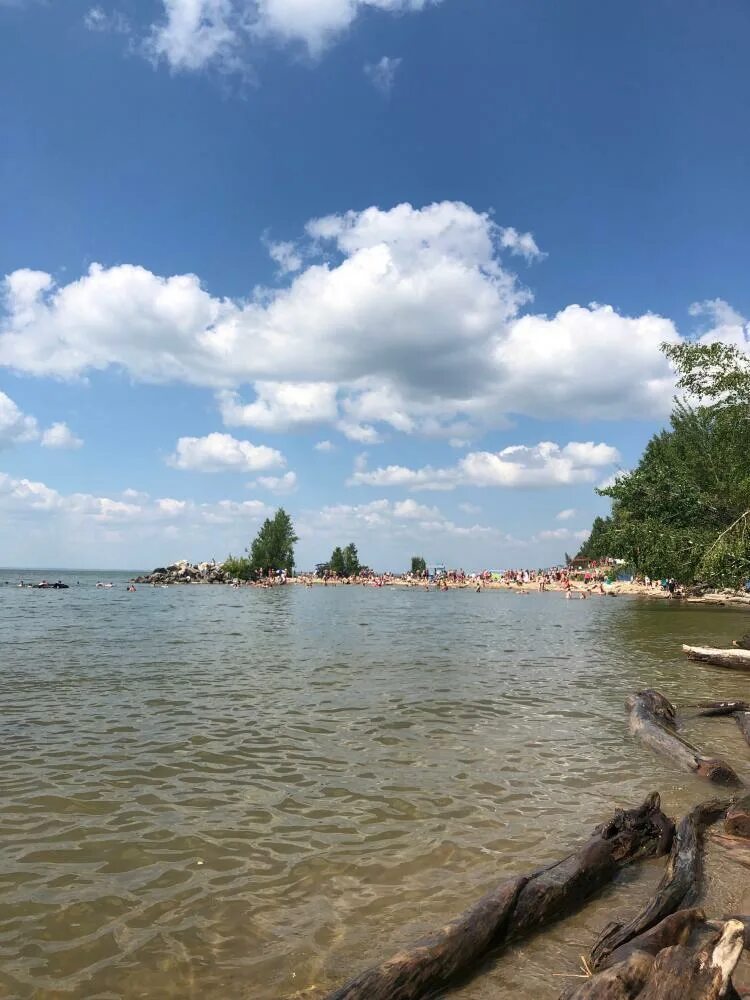 Обского водохранилища на острове дальнем. Обское море гэс новосибирска. Обское море подводные обитатели. Алтайский край обское море. Обское море гэс.