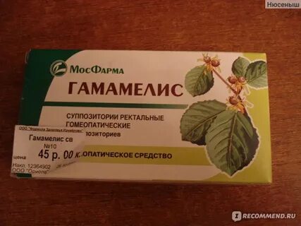 Гамамелис суппозитории