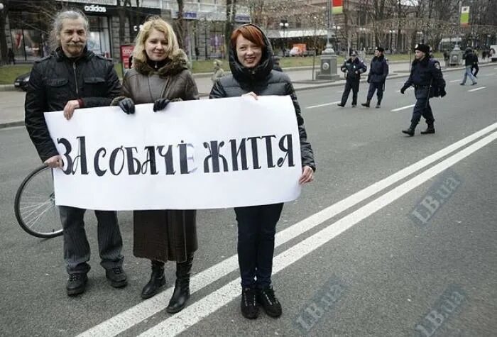 что говорят в киеве