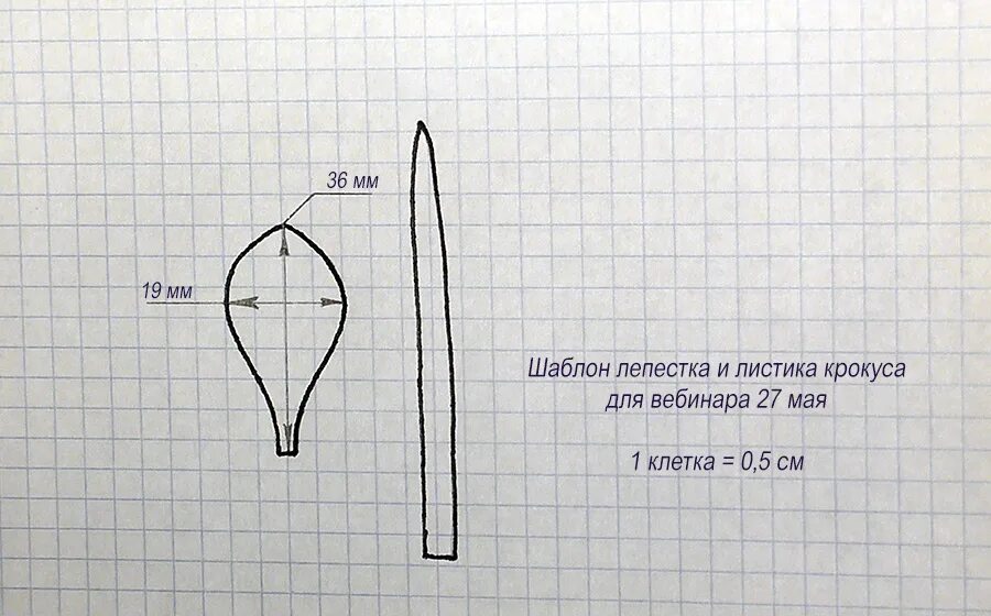 Цветок крокуса из фоамирана. Крокусы из фоамирана шаблоны. Крокусы из фоамирана выкройки. Лепесток подснежника для цветка из фоамирана. Лепестки для крокусов из фоамирана.