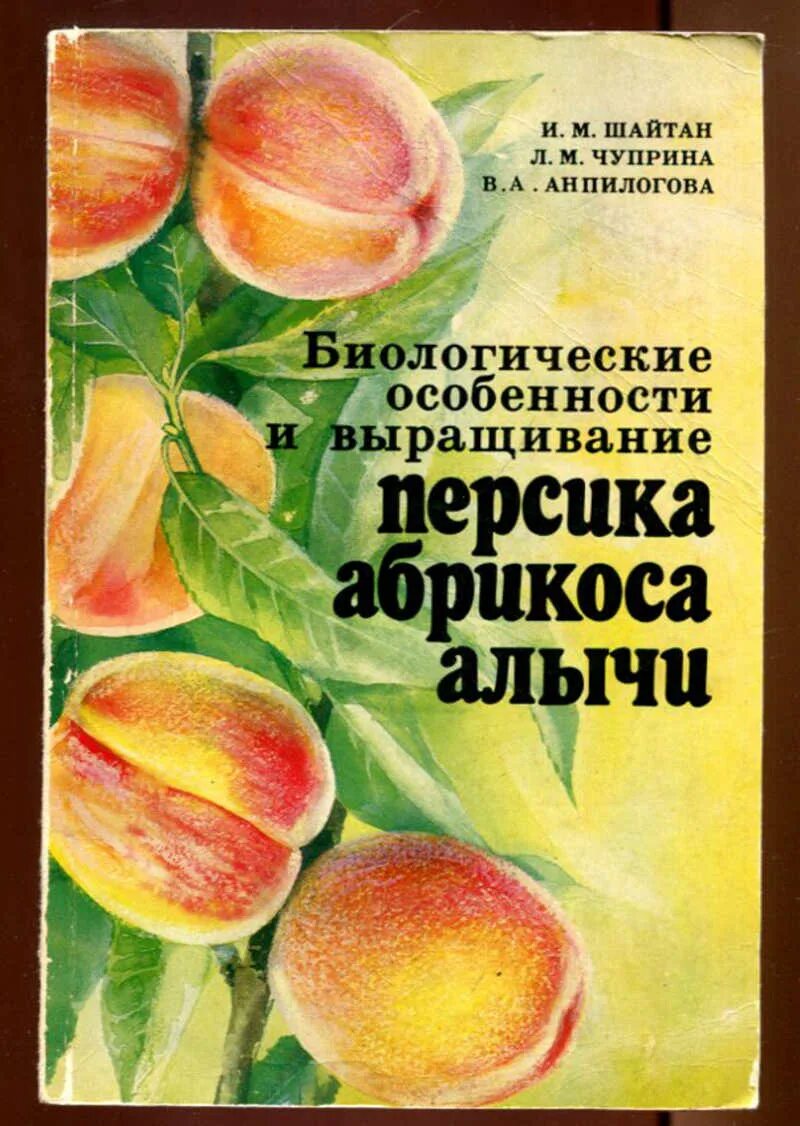 Цвет абрикоса книга. Абрикос книги. Абрикос в подмосковье фото. Абрикос книги. Книга и абрикос.