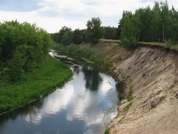 Лосево река вуокса лосевские пороги. Река дань. Река водла в карелии. Река мутня. Река северная ручей турукэ.