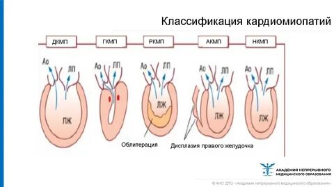 Дкмп у собак