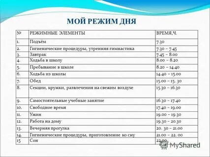 Расписание дня взрослого