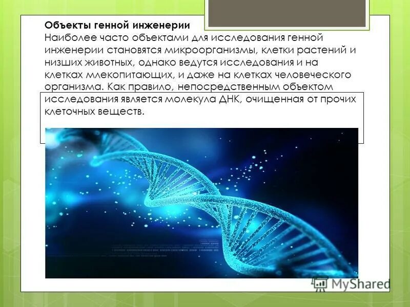 уровни генной инженерии. предмет генной инженерии. генетическая инженерия. методы генной инженерии. генный инженер.