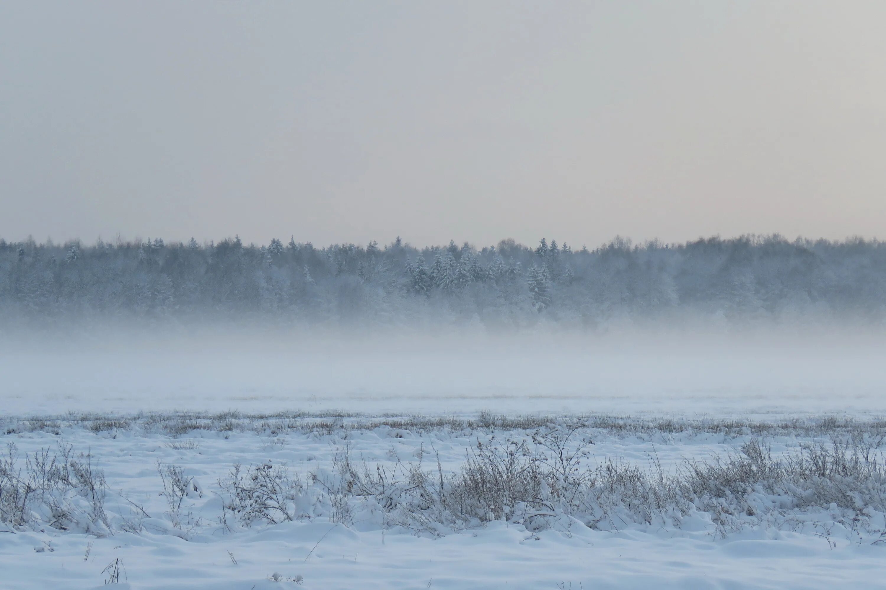 Морозная дымка. Морозный дым. Лес в морозной дымке. Кировская область дымка. Дымка снега