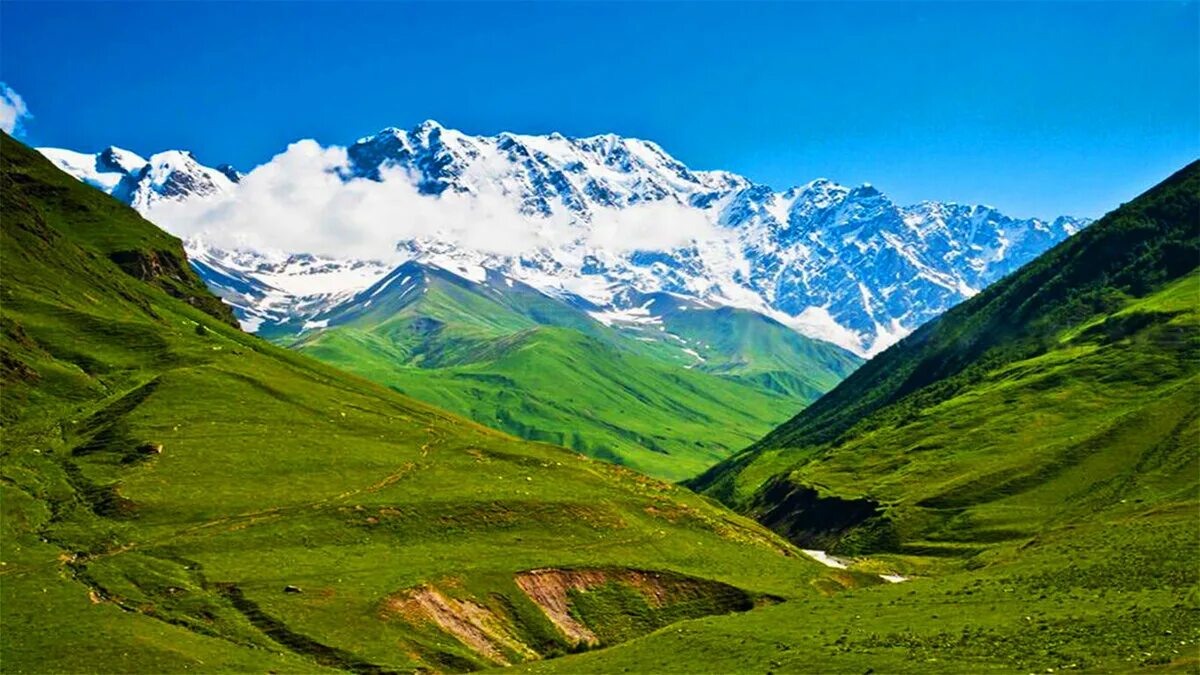 Высота наивысшей точки кавказских гор. Гора Шхара Грузия. Грузия вершина Шхара. Шхара Сванетия. Грузия Сванетия Шхара.