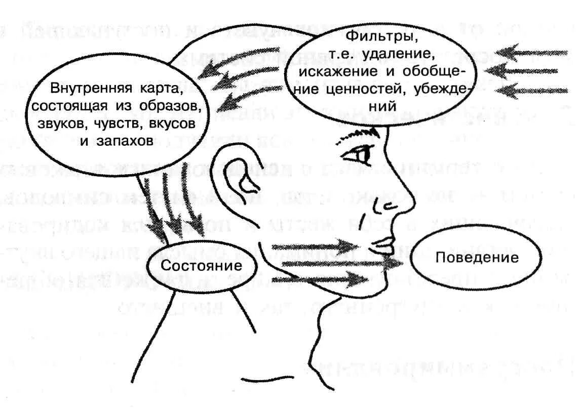 Поведения человека с точки зрения. Моделирование НЛП схема. Методики НЛП. Модель коммуникации НЛП. НЛП техники.