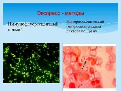 Капельные возбудители
