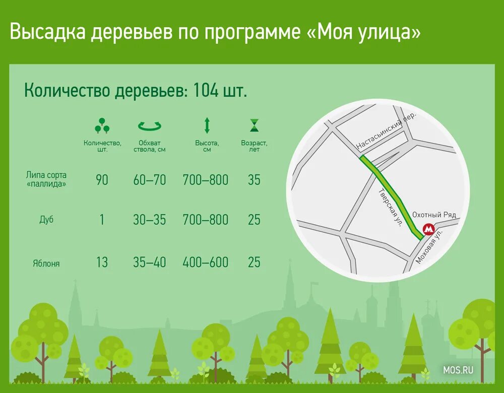 Сколько в санкт петербурге деревьев