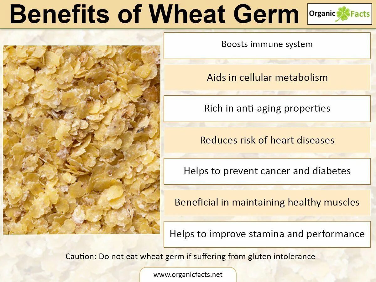 Wheat Germ. Wheat Germ System. Wheat перевод на русский. Germs перевод