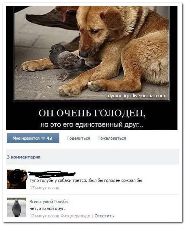 Смешные комментарии из социальных сетей. Прикольные комментарии к фотографиям. Прикольные комментарии из социальных сетей. Вероника блэк онлифанс. Приколы с комментариями.