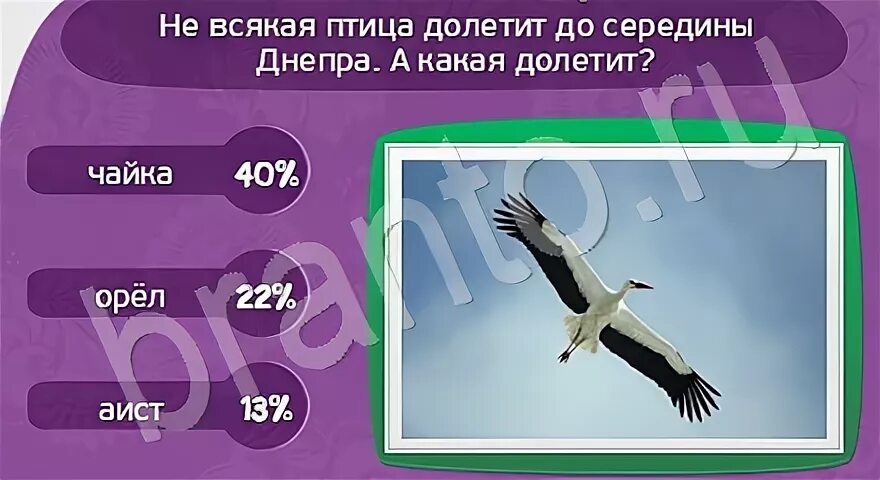 Не всякая птица долетит до середины Днепра. Не каждая птица долетит. Редкая птица долетит до середины Днепра. Не каждая птица долетит до середины. Редкая птица долетит до середины