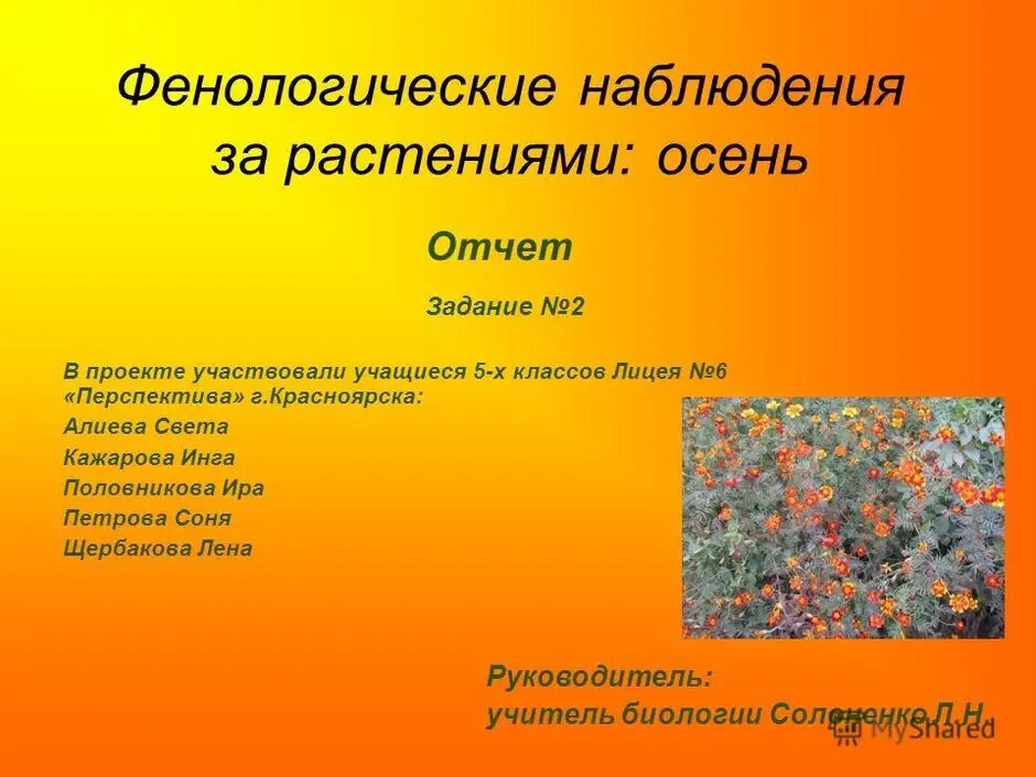 Наблюдение за природой осенью 5 класс география. Наблюдение за осенними деревьями. Дневник наблюдений за деревьями осенью. Фенологический дневник наблюдений осень. Дневник фенологических наблюдений за деревьями осенью.