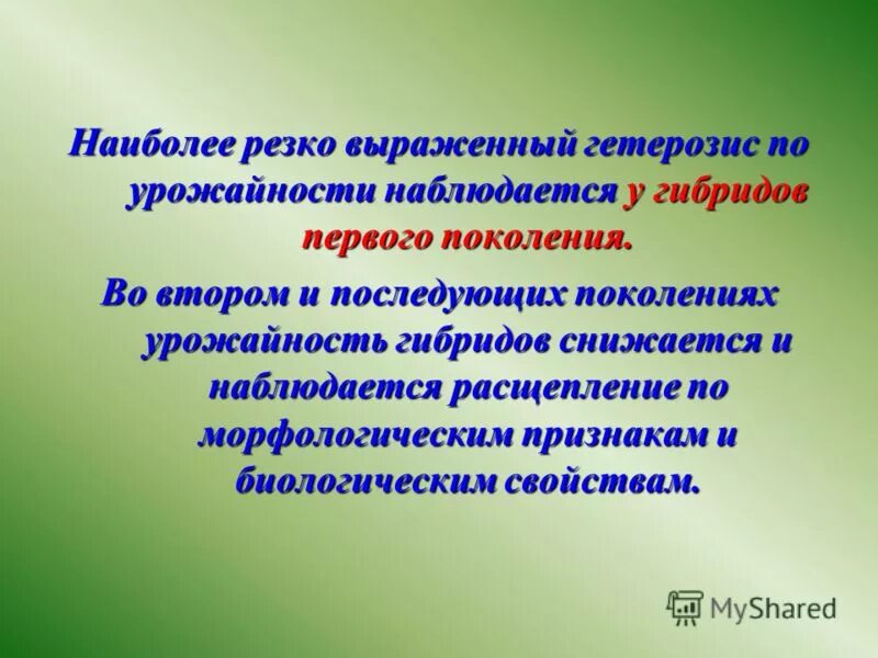 Гетерозис f1. Явление гетерозиса в селекции. Сверхдоминирование гетерозис. Снижение эффекта гетерозиса в последующих поколениях обусловлено. Снижение эффекта гетерозиса в последующих поколениях обусловлено.