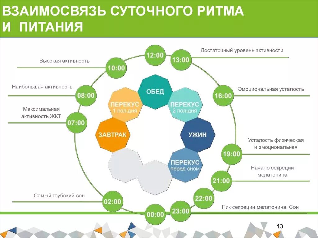 Циркадные ритмы Гербалайф. Суточные циркадные ритмы Гербалайф. Взаимосвязь суточного ритма и питания. Циркадные ритмы у человека и питание. А также уровня активности и