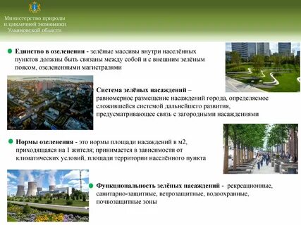 Регламент зеленых насаждений