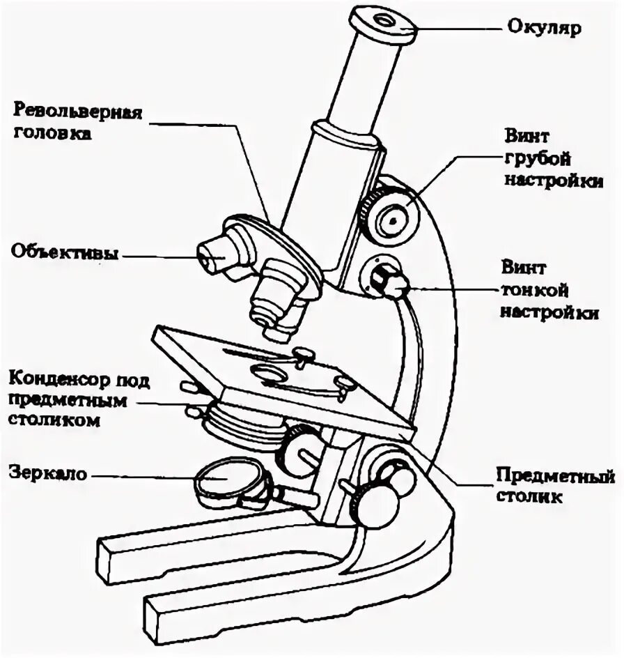 Строение микроскопа 5 класс рисунок с подписями. Строение светового микроскопа схема. строение светового микроскопа биомед 2. световой микроскоп строение. световой микроскоп строение рисунок.