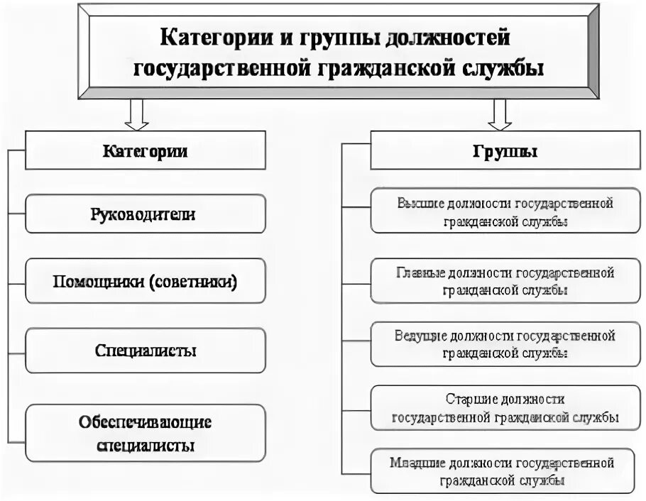 Основные группы служащих