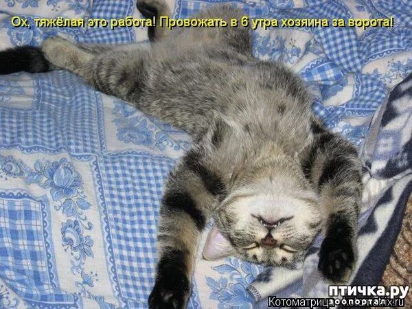 Ни на работе ни дома я