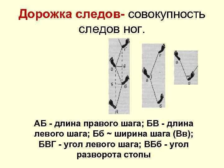 Дорожка следов сколько следов. Наименование элементов дорожки следов обозначьте их на схеме. Параметры измерения дорожки следов ног. Дорожка следов ног криминалистика. Дорожки следов ног человека криминалистика.