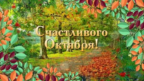 Красивый день октября