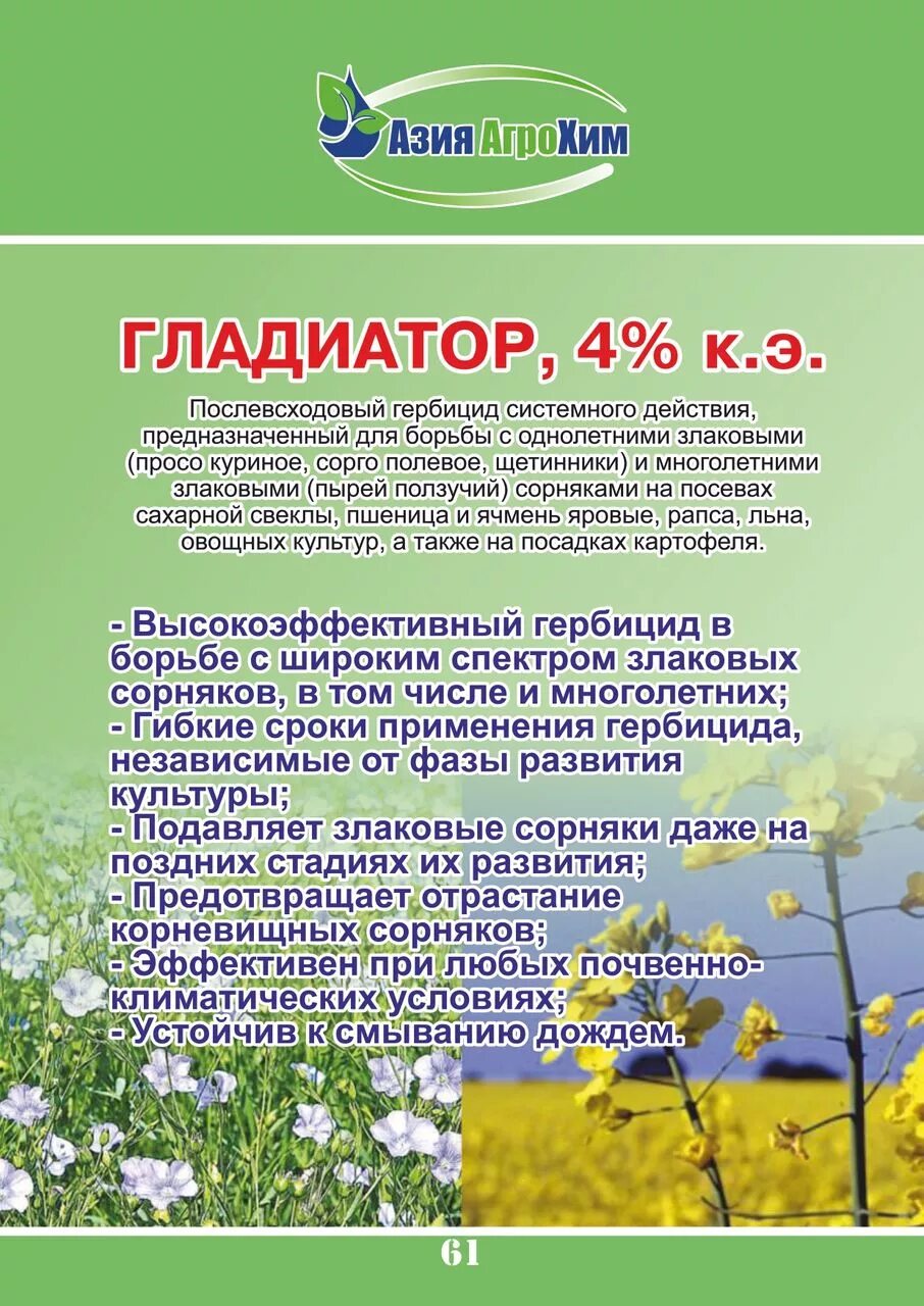 Сорняки на огороде пырей. Агрокиллер 500мл август. Гербицид от пырея. Пырей сорняк гербицид. Гербицид против широколистных сорняков.
