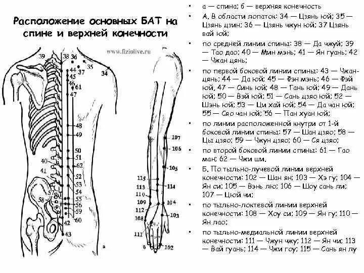 Точки на пояснице. Точки акупунктуры при люмбалгии. Точки акупунктуры при болях в спине. Акупунктурные точки массаж спины. Акупунктурные точки для расслабления мышц спины.