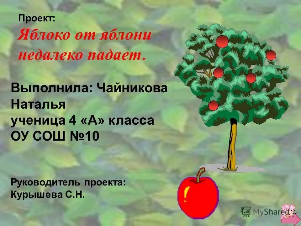 Яблоко от яблони недалеко падает значение пословицы. Яблоко от яблони недалеко падает. Яблоко от яблоньки недалеко падает. Поговорка яблоко от яблони. Яблоня от яблони недалеко.