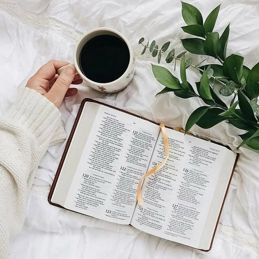 Книга цвет жизни. Библия и чай. Утро с Библией. Доброе утро Библия. Библия и чашка кофе.