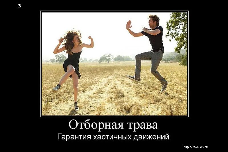 Шутки про среду. Счастливая брюнетка. Мем вот есть же хорошие новости. Рыжий котик. Хорош уже фото.