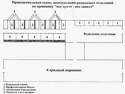 Пусто занято